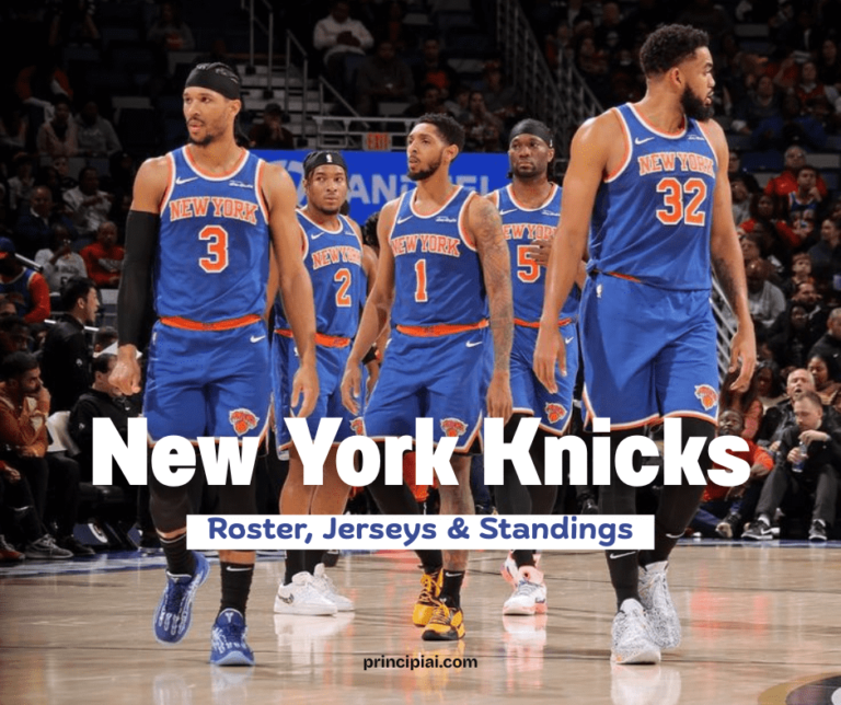 New York Knicks 2025